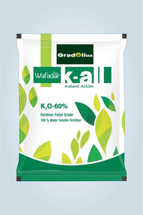 K-ALL ( K20 -60%)