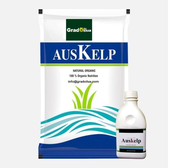 AusKelp